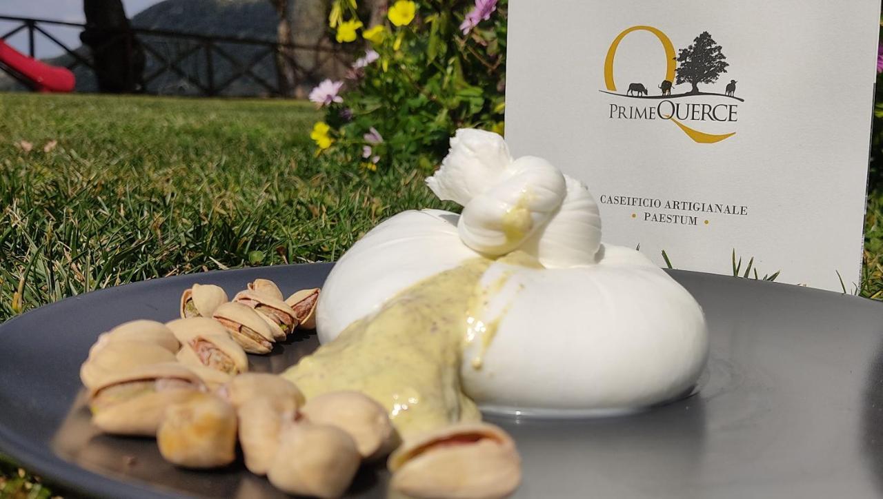 Primequerce Villa Paestum Ngoại thất bức ảnh